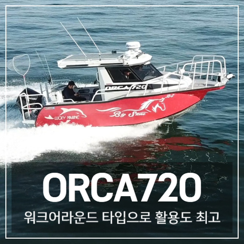 Orca720